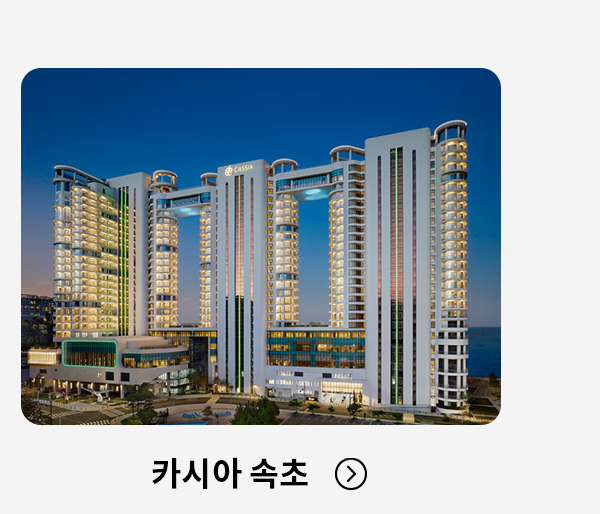 카시아 속초